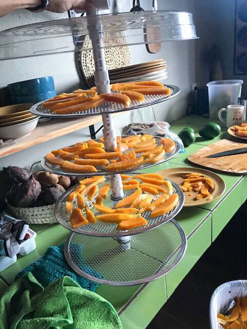 Fruit-ready