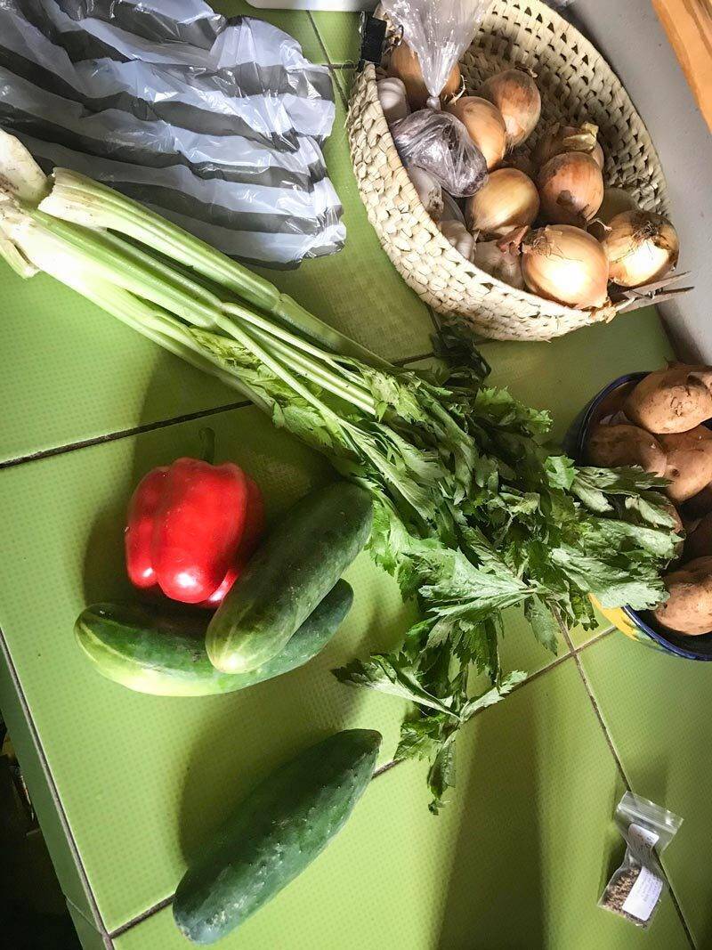 Veggies-from-Shelly-Oct-2020