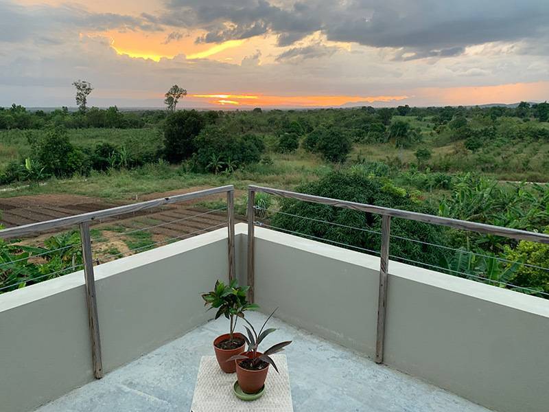 View-from-Irenes-with-plants