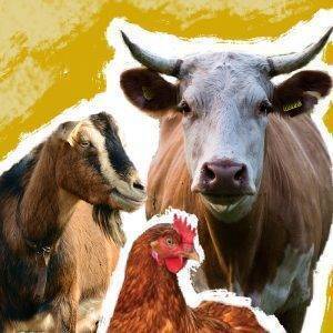 Give a Farm