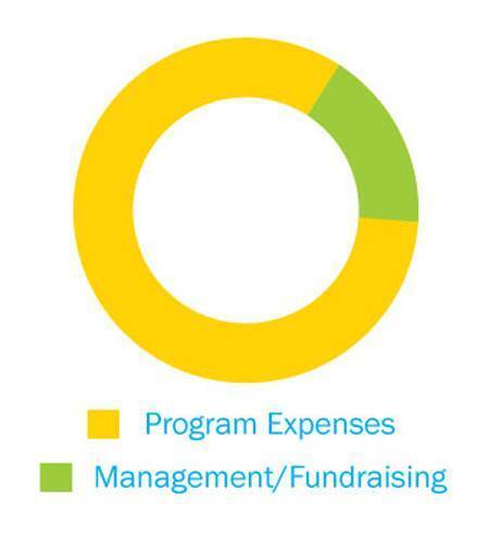 Graph showing 12.2 % of Admin expenses