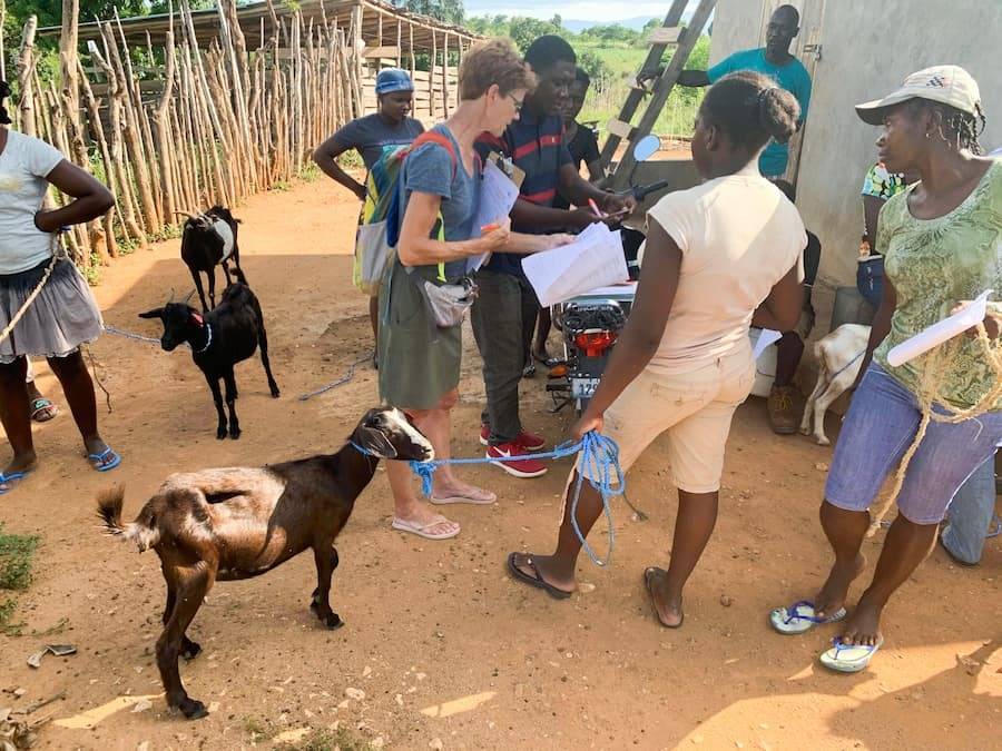 goat_distribution_mother_holds_goat