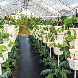 Garden and Hydro Training