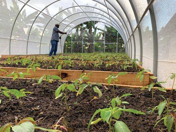 Building a Legacy | Agriculture in Haiti & Abaco