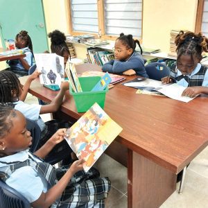 Books for Library Program